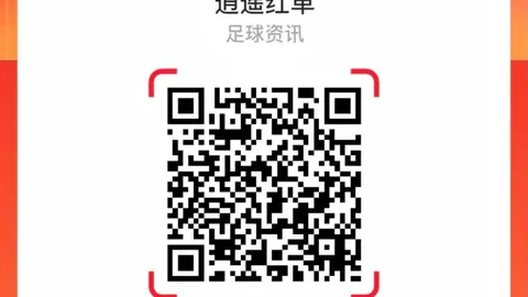 电竞战队新阵，太阳城app，容亮相，春季赛蓄势待发